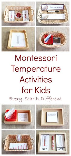 Montessori Kindergarten Activities, Montessori Science Activities, Montessori Elementary Activities, Montessori Math Activities, Montessori Activities Preschool, Montessori Science, Montessori Printables, Montessori Elementary, Montessori Lessons