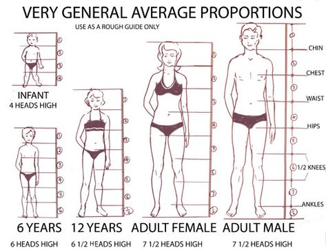 Proportions for drawing people Proportion Sketching, Proportions Drawing, Body Proportion Drawing, Human Body Proportions, Head Proportions, Drawing Body Proportions, Drawing Proportions, Mens Body, Male Figure Drawing