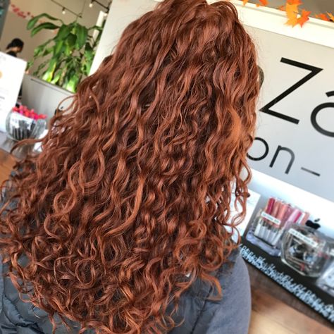 Natural Curly Copper Hair, Light Auburn Curly Hair, Copper Hair On Curly Hair, Auburn Ombre Curly Hair, Curly Hair Auburn, Light Red Curly Hair, Long Dyed Hair Ideas, Dark Auburn Curly Hair, Light Copper Curly Hair