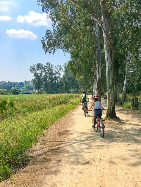 Going off-road in Nam Sang Wai, a gorgeous part of Hong Kong's New Territories. Hong Kong Travel Tips, Hong Kong Food, Kid Friendly Activities, Hong Kong Travel, Activities To Do, Favorite City, Asia Travel, Travel With Kids, Southeast Asia