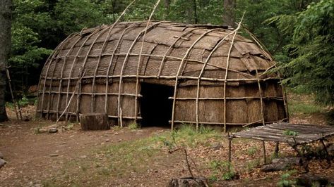 What are the main differences between a wigwam and a tepee? Native American Knowledge, Primitive Houses, Survival Skills Emergency Preparedness, Native American Teepee, Woodland Indians, Bushcraft Shelter, Eastern Woodlands, Colonial Times, Survival Shelter