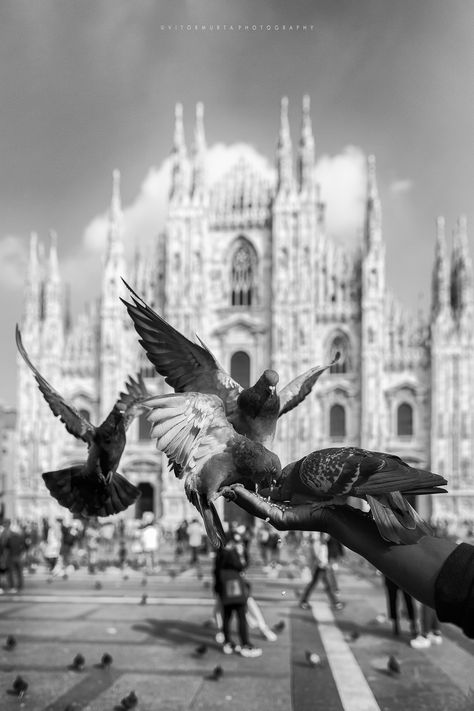 Black And White Photography Vintage, Black And White Vintage Photography, Milan Photography, Black And White Travel Photos, Europe Black And White, Black And White Italy Aesthetic, Black And White Italy, Milan Black And White, Italy Black And White