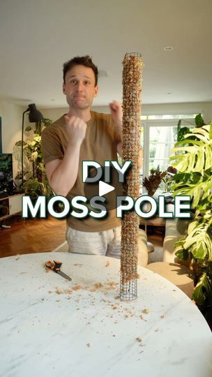 Homemade Moss Pole, Diy Moss Pole, Plant Pole, Houseplant Ideas, Moss Planter, Plants Grown In Water, Diy Moss, Garden Mesh, Plant Display Ideas