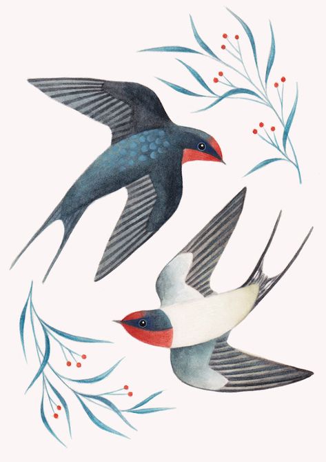 Laura Middleton Art - Barn Swallows Two Birds Illustration, Swift Bird Illustration, Swallow Bird Illustration, Swallows Drawing, Happy Animals Smiling, Swallow Drawing, Barn Swallow Tattoo, Swallow Painting, Bird Illustration Art