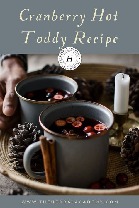 Cranberry Hot Toddy, Warming Herbs, Cloves Recipes, Hot Toddy Recipe, Pure Cranberry Juice, Cranberry Tea, Cafe Drinks, Toddy Recipe, Amazing Drinks