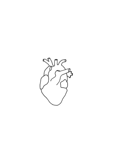 Anatomical Heart Line Drawing, Anatomic Heart Drawing, Aesthetic Coeur, Anatomical Heart Wallpaper, Simple Anatomical Heart, Anatomic Heart Tattoo, Heart Drawing Tattoo, Coeur Aesthetic, Heart Tattoo Aesthetic