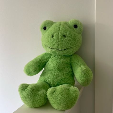 Build a bear green frog Frog Build A Bear, Build A Bear Frog, Green Frog, Build A Bear, Christmas List, Mint Condition, Mint, Building, Green