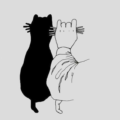 Shadows with your hands (easy and advanced) - Tips de Madre Shadow Puppets With Hands, Cat Shadow, Hand Shadows, Shadow Theatre, Shadow Pictures, Shadow Art, Shadow Play, Shadow Puppets, Childrens Room Decor