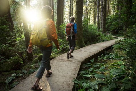 Why walking is the most underrated form of exercise Health Benefits Of Walking, Walking Workout, Canyon Ranch, Walking Meditation, Benefits Of Walking, Shenandoah National Park, Redwood Forest, Walk In The Woods, How To Slim Down