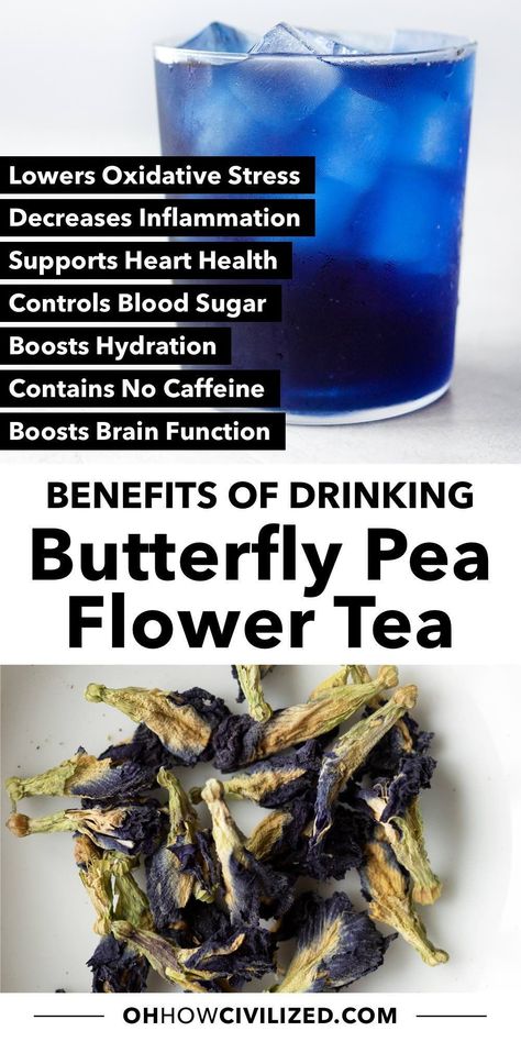 Known for its pretty blue color, butterfly pea flower tea is packed with health benefits. It’s full of antioxidants and beneficial compounds that are so good for the body. #butterflypeaflower #herbaltea #antioxidants #icedtea Butterfly Pea Flower Benefits, Benefits Of Butterfly Pea Tea, Blue Pea Tea, Tea Healing, Butterfly Pea Flower Tea Benefits, Butterfly Sweet Pea Tea Benefits, Drinks With Butterfly Pea Flower, Blue Butterfly Pea Flower Benefits, Healthy Teas Recipes