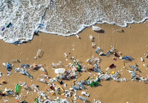 Beach Pollution, Great Pacific Garbage Patch, United Nations Environment Programme, Plastic Beach, Marine Pollution, Fauna Marina, Aquatic Ecosystem, The Better Man Project, Types Of Plastics