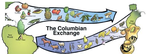 columbian exchange - Google Search Columbian Exchange, Points Of View, Rubber Tree, Middle School Teachers, Charts And Graphs, Visual Aids, Many Faces, World Cultures, Early American