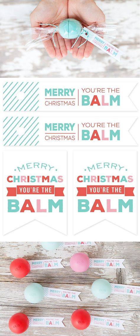 EOS Lip Balm "Candies" and FREE Printable Gift Tags. Simple and inexpensive Christmas gift idea for friends, tweens, teachers. You're The Balm, Inexpensive Christmas Gifts, Inexpensive Christmas, Eos Lip Balm, Free Printable Gifts, Printable Gift Tags, Free Printable Gift Tags, Easy Christmas Gifts, Diy Gifts For Friends