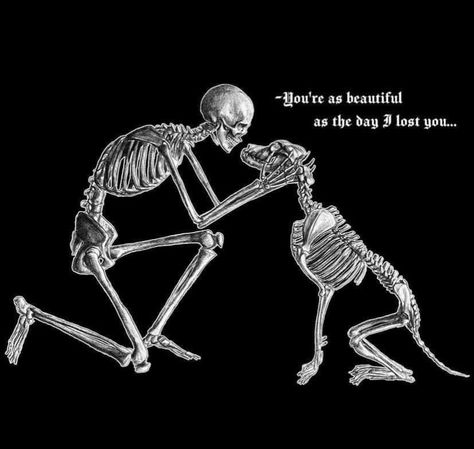 Dog And Human Skeleton, Skull Art Aesthetic, Skeleton Pfp, True Friendships, I Lost You, Skeleton Artwork, Miss My Dog, Dog Skeleton, Lost You