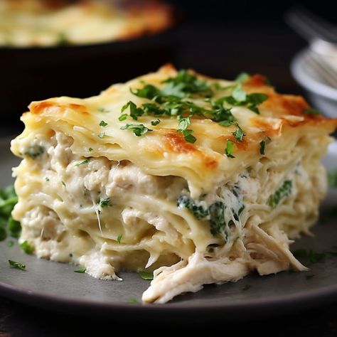 Chicken Alfredo Lasagna, Alfredo Lasagna, Chicken Lasagna, Pasta Dinner Recipes, Dinner Party Recipes, Chicken Alfredo, Easy Casserole Recipes, Party Recipes, Chicken Recipes Casserole