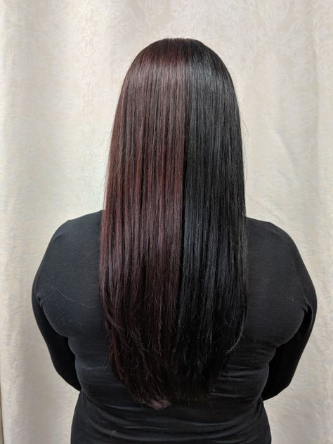 Black And Brown Split Dye Hair, Brown And Black Split Dye, Half Black Half Brown Hair, Half Coloured Hair, Alt Hair Ideas, Half Red Hair, Red Hair Black Hair, Kevin Murphy Color Me, Hair Black Hair