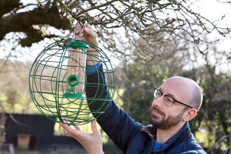 How to make a crow-proof bird feeder Make A Bird, Make A Bird Feeder, Jackdaw, Bird Feeder, Crows, Growing Plants, Bird Feeders, Bbc, Birds