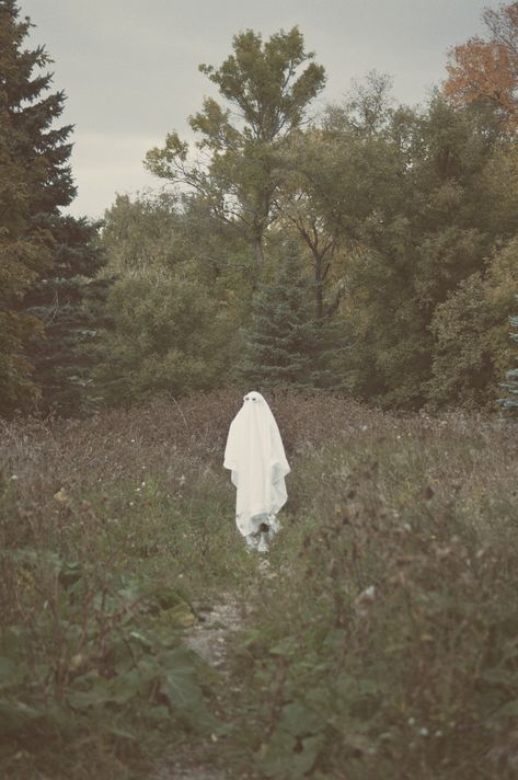 Fall Time Pictures, Photoshoot In Forest, Sheet Costume, Sheet Ghosts, Ghost Forest, Autumn Ghost, Ghost Pics, Forest Photoshoot, Ghost Photo