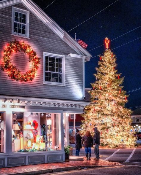 @kmunchie on Instagram: "Kennebunkport’s Christmas Tree is so magical with tons of white lights, colorful hanging buoys and a big lobster topper🦞 @parigby @haleedayburg (making her comp in the third pic!) and I had a blast capturing the tall tree from various angles! #kennebunkport #kennebunkportmaine #maine" Christmas In Maine, Southern Maine Coast, Maine Christmas, Singing Christmas Tree, Maine Coastline, Moving To Maine, New England Christmas, Maine Winter, Maine Lighthouses