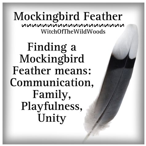 WitchOfTheWildWoods Feather Symbolism Meaning, Witch Correspondence, Finding A Black Feather Meaning, Mockingbird Symbolism, Spotted Feather Meaning, Feather Color Meaning, Feathers In Witchcraft, Beading Native, Feather Magic