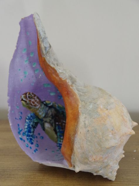 Conch Shell Crafts Diy Ideas, Conch Shell Art, Painting Conch Shells Ideas, Seashell Art Painting, Sea Shell Painting Ideas, Shells On Beach Painting, Painted Sea Shells Ideas, Conch Shell Crafts, She’ll Painting Ideas