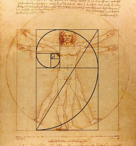 The golden ratio in music: the songs of Fibonacci sequence – Auralcrave Golden Ratio Art, Fibonacci Art, Golden Proportion, Da Vinci Vitruvian Man, Fibonacci Golden Ratio, Golden Rectangle, The Golden Mean, Divine Proportion, Golden Spiral