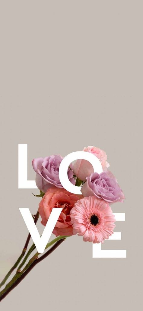 Iphone Wallpaper Violet, Love Pink Wallpaper, Unique Bouquet, Iphone Lockscreen Wallpaper, Wallpaper Doodle, Simple Phone Wallpapers, Valentines Wallpaper, Cute Flower Wallpapers, Cute Simple Wallpapers