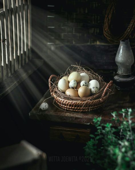 Egg Photography, Dark Food, Colored Eggs, Duck Eggs, Photo Food, Friends Instagram, Local Farm, Coloring Eggs, Fresh Ingredients