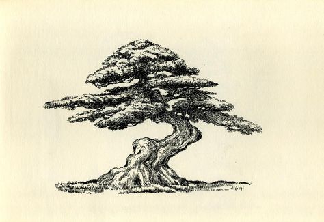 Bonsai Sketch Drawing, Bonsai Tree Drawing Sketches, Bonsai Tree Drawing Simple, Bonsie Trees Tattoo, Bonsai Art Drawing, Japanese Tree Drawing, Bonsai Tattoo Design, Japanese Tree Tattoo, Bonsai Sketch