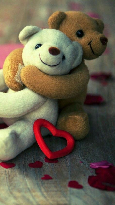 Arijit Singh Lyrics, Doll Pic, Love Shayari Romantic, Teddy Bear Images, Teddy Bear Wallpaper, Tropical Salad, Banana Milkshake, Arijit Singh, Grilled Mushrooms