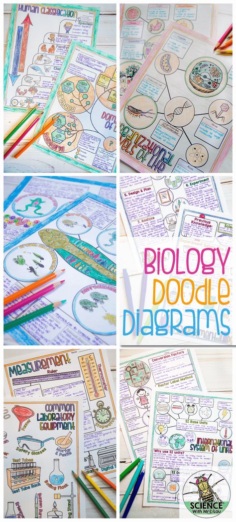 Diagram Notes, Apologia Biology, How To Take Notes, Science Doodles, School Biology, Biology Classroom, 7th Grade Science, High School Biology, Science Notebooks