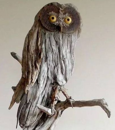 ❋創意(Ideas)❋ Art Sculpture En Bois, Tre Kunst, Driftwood Art Diy, Driftwood Projects, Wood Owls, Driftwood Sculpture, Owl Crafts, Driftwood Crafts, Wood Carving Art