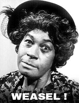 (LaWanda Page as "Aunt Esther" in "Sanford And Son") Happy Esther, Aunt Esther, Joseph Williams, Sanford And Son, Deandre Hopkins, Black Entertainment, Black Actors, Famous Black, Black Hollywood