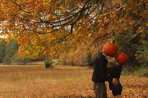 October Couple Pictures, Couples Halloween Photos, Plus Size Pumpkin Head Photoshoot, Pumpkin Couples Photoshoot, Pumpkin Engagement Photos, Couple In Autumn, Pumpkin Head Poses, Autumn Couples Photoshoot, Pumpkin Couple Photoshoot