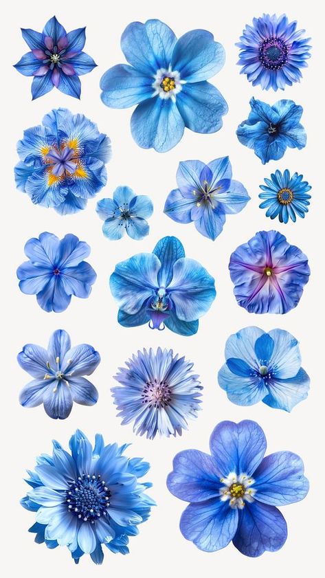 Editable blue flower design element set | premium image by rawpixel.com / Techi Vintage Aesthetic Stickers Printables, Laptop Drawing, Flowers Template, Blue Scrapbook, Blue Stickers, Blue Flower Design, Flower Png Images, Flower Cut Out, Elements Design