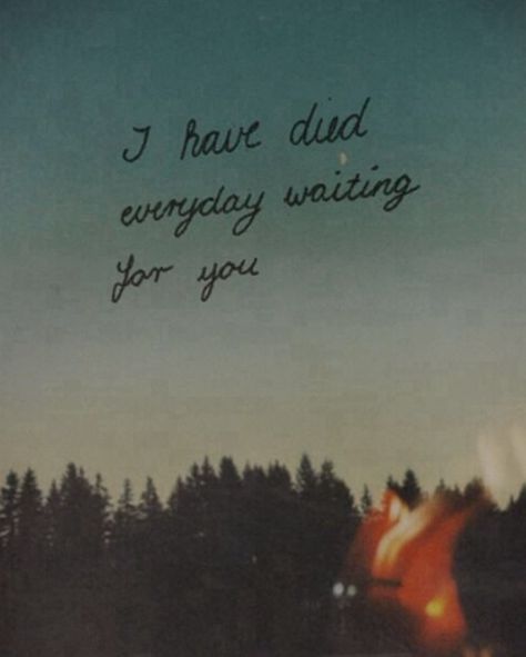 Darling don't be afraid I have loved you for a thousand years, I've loved you for a thousand years. A Thousand Years Lyrics, Thousand Years Lyrics, Lovely Thoughts, I Dont Need You, A Thousand Years, Don't Be Afraid, Song Quotes, Pretty Lyrics, Be Afraid