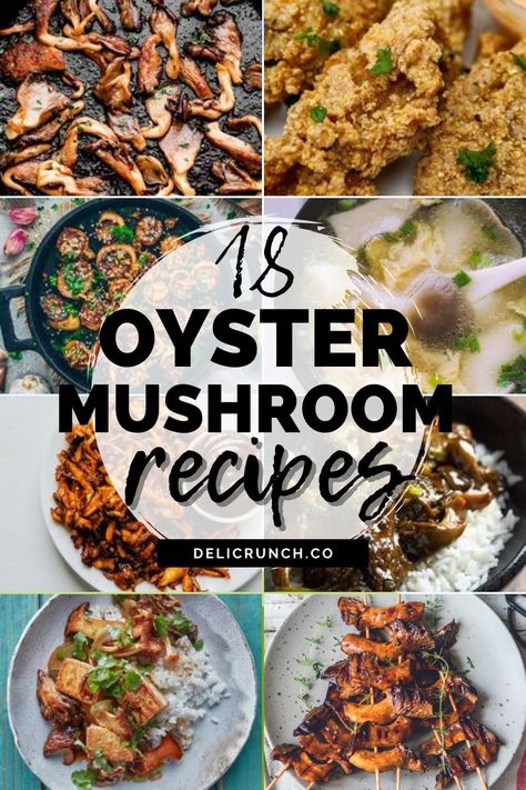 How To Cook With Mushrooms, Mini Oyster Mushroom Recipe, Pearl Mushroom Recipe, Recipes Oyster Mushrooms, Gold Oyster Mushroom Recipe, Healthy Oyster Mushroom Recipes, Oyster Mushroom Pizza, Oyster Mushroom Quiche, How To Cook Pink Oyster Mushrooms