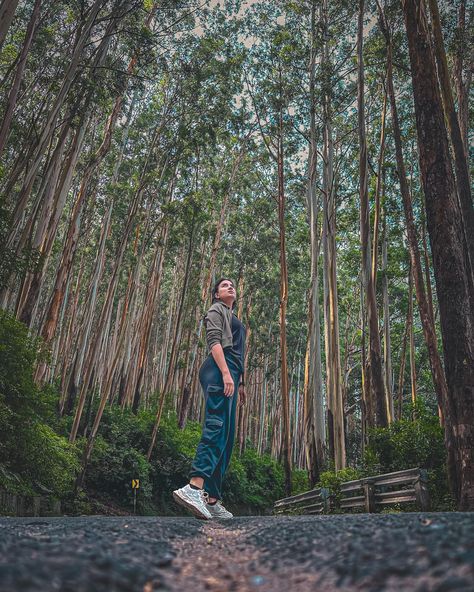 Camouflage 👀 Best Assistant Photographer @shivangiiagarwal . . . . #camouflage #ooty #pineforest #roadtrip #forestphotography #roadphoto #hill #tamilnadu Photoshoot In Ooty, Pine Forest Photography, Ooty Tamilnadu, Ooty Trip, Travel Poses, Travel Photoshoot, Travel Pose, Poses Women, Travel Pictures Poses