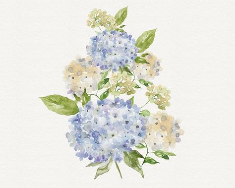 Hydrangea Watercolor Clipart Hydrangea Bouquet Stationary | Etsy Hydrangea Illustration, Blue Hydrangea Watercolor, Hydrangea Watercolor, Watercolor Hydrangea, Hydrangea Print, Hydrangea Bouquet, Blue Wedding Flowers, Watercolor Printable, Wedding Clipart