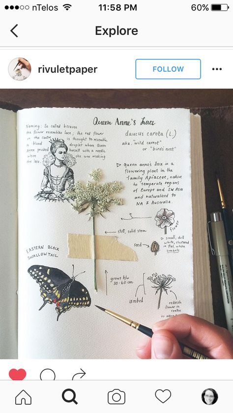 Plants Sketch, Plant Sketches, Botanical Sketchbook, Field Journal, Plant Journal, Leather Bound Journal, Garden Journal, Kids Journal, Journal Aesthetic