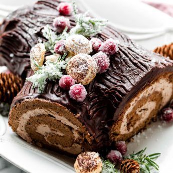 Recipes | Sally's Baking Addiction Easy Yule Log Recipe, Meringue Mushrooms, Yule Log Recipe, Chocolate Log, Chocolate Yule Log, Yule Log Cake, Sugared Cranberries, Log Cake, Torte Cupcake