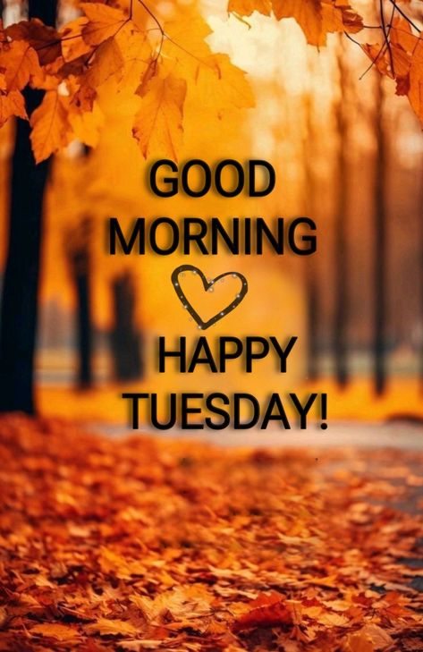 Good Morning Happy Tuesday Blessings, Happy Fall Tuesday, Happy Tuesday Fall, Tuesday Morning Quotes, Tuesday Coffee, Wednesday Morning Quotes, Happy Tuesday Morning, Tuesday Quotes Good Morning, Tuesday Greetings