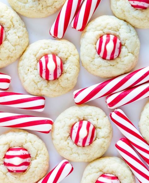 Candy Cane Cookie Recipe, Christmas Cookie Recipes Holiday, Hot Cocoa Cookies, White Chocolate Candy, Best Christmas Cookie Recipe, Easy Christmas Cookie Recipes, Candy Cane Cookies, Kiss Cookies, Blossom Cookies