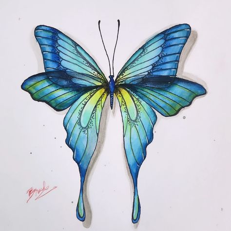 Butterfly Pics Art, Butterfly Drawing Painting, Trippy Butterfly Painting, How To Draw Butterflies, Fantasy Butterfly Art, Arabic Kaligrafi, Butterfly Texture, Girls Painting, Butterfly Art Drawing