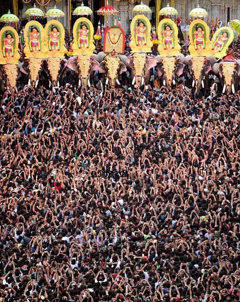 We don’t want Kochiites to miss the chance to experience the festival atmosphere,” the mayor added. Films in the Kochi leg of IFFK are screened at six theatres—Saritha, Savitha, Sangeetha, Kavitha, Padma and Sreedhar. Thrissur Pooram Photography, Pooram Kerala, Kerala Festival, Thrissur Pooram, Temple Festival, Mother India, Festivals Of India, India Colors, Kerala India