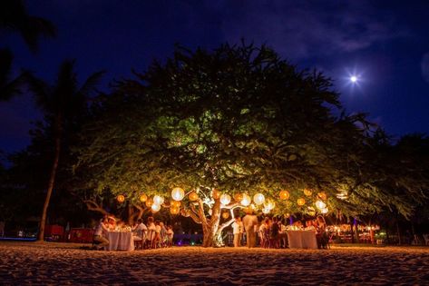 Puerto Vallarta Area Weddings | The St. Regis Punta Mita Resort | Gisele & Scott St Regis Punta Mita, Puerto Vallarta Wedding, Samantha Wedding, Wedding View, St Regis, Mexico Wedding, Resort Wedding, Wedding Website, Boho Wedding