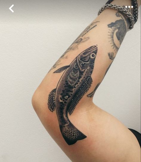 Rainbow Trout Tattoo Traditional, Traditional American Tattoo Design, Trad Fish Tattoo, American Traditional Elbow Ditch Tattoo, American Vintage Tattoo, Back Roll Tattoo, Bluegill Tattoo, Kneecap Tattoo Ideas, American Traditional Fish Tattoo