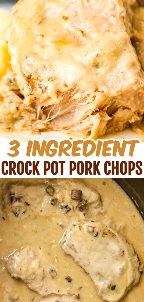 Fast Crockpot Recipes 3 Hours, Bone In Chops Crockpot, Porkchops Crockpot Easy, Porkchop Crockpot Recipes Healthy, Crockpot Recipes Porkchops, Smothered Pork Chops Crock Pot Easy, Pulled Pork Chops Slow Cooker, Boneless Pork Chop Slow Cooker Recipes, Slow Cooker Alpine Pork Chops