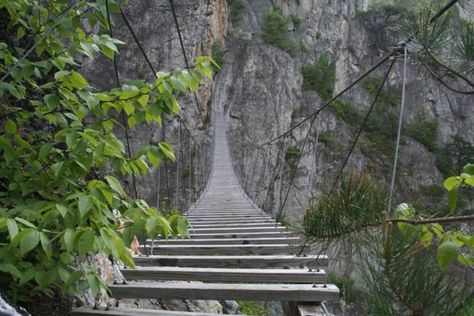 WEST VIRGINIA = The suspended bridge at Nelson Rocks is part of the Via Ferrata tour offered by NROCKS Outdoor Adventures. Nelson Rocks West Virginia, Walking Bridge, Seneca Rocks, West Virginia Travel, Swinging Bridge, Beautiful Bridges, Virginia Travel, Bay Bridge, Oh The Places Youll Go