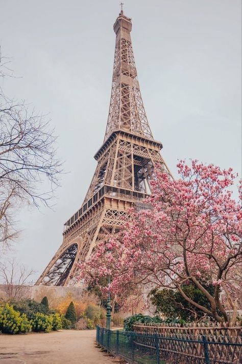 Torre Eiffel Aesthetic, Paris Tower Wallpaper, Tower Wallpaper, Paris Tower, Eiffel Tower Photography, Wallpaper 2024, France Aesthetic, Paris Wallpaper, Beautiful Ocean Pictures